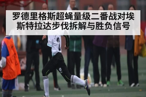 罗德里格斯超蝇量级二番战对埃斯特拉达步伐拆解与胜负信号